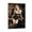 Frame-style, variant on American Film Actresses Amanda Seyfried Sexy Hot Poster Wall Art Poster Scroll Canvas Painting Picture Living Room Decor Home 16x24inch(40x60cm)