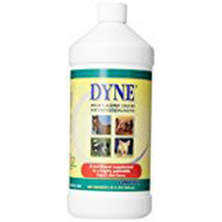 Dyne High Calorie Liquid Horse &amp; Dog Supplement, 32 Oz - Walmart.com