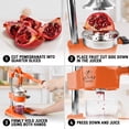 thumbnail image 5 of Zulay Kitchen Professional Citrus Juicer Manual Hand-Press Juicer, 5 of 8