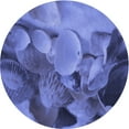 thumbnail image 1 of Ahgly Company Machine Washable Indoor Round Transitional Sky Blue Area Rugs, 8' Round, 1 of 7