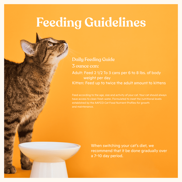 advanced cat litter box Hombli Smart Cat Litter Box with Camera main image 1