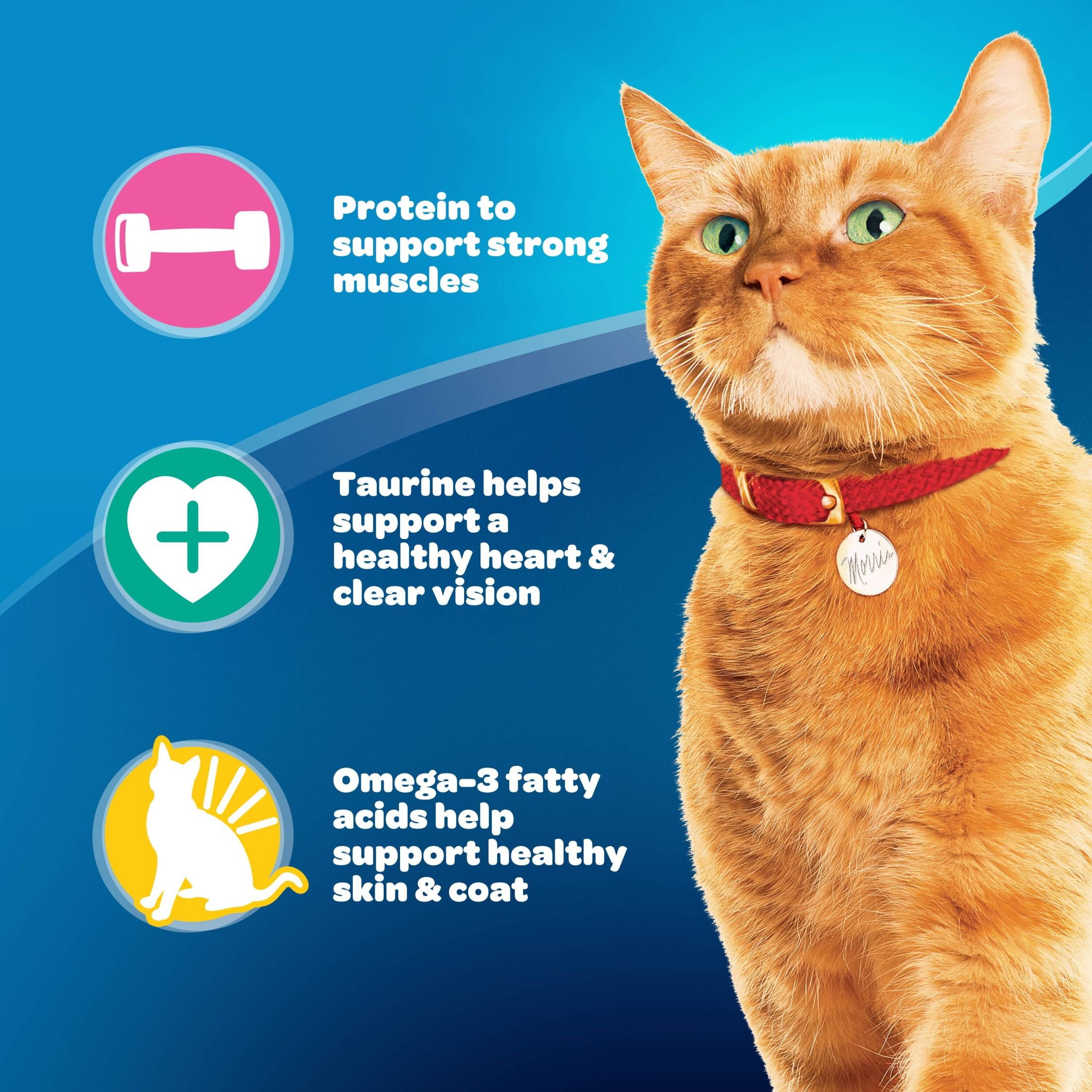 (3 pack) 9Lives Daily Essentials Dry Cat Food, 15.5 lb. Bag