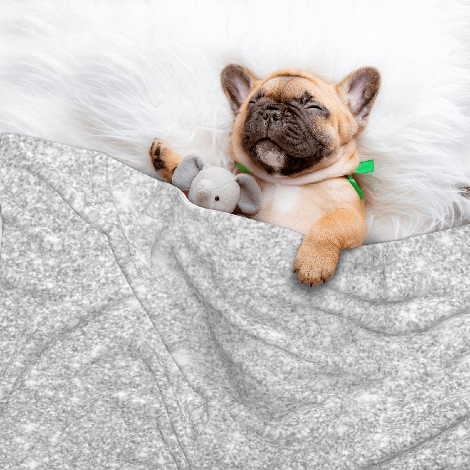 Naloa Silver Glitter Dog Blanket, 3 Sizes Cat Blanket for Indoor Cats Large Medium Small Dog Gifts-