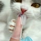 thumbnail image 2 of Kit de cepillo de dientes para perros, cepillo de dientes para perros, gatos, cachorros, con capa de cerdas de silicona, transparente, 10 piezas, 2 of 5
