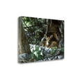 thumbnail image 2 of "Undercover" By Kevin Daniel, Fine Art Giclee Print on Gallery Wrap Canvas, Ready to Hang, 2 of 2