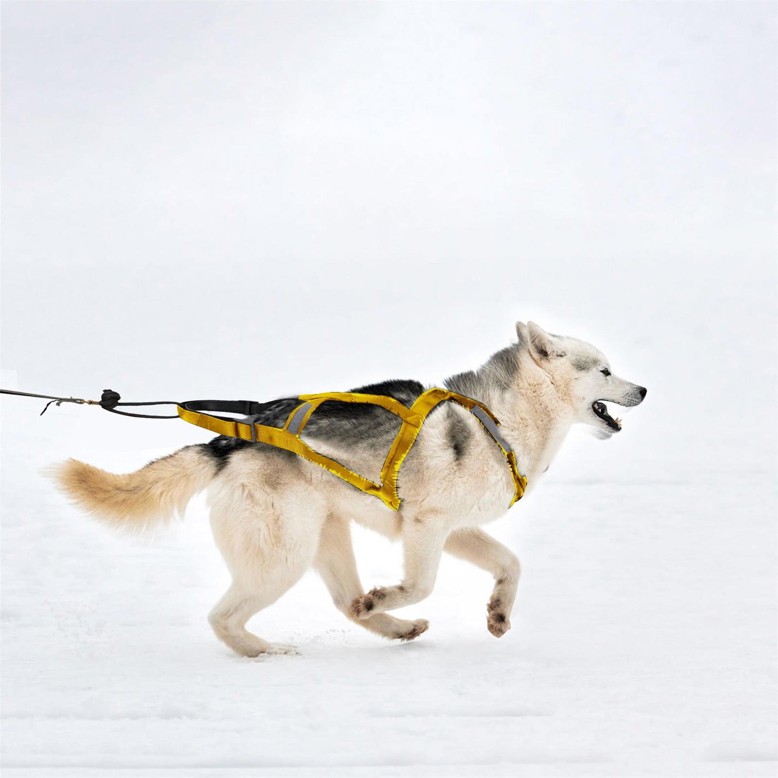 Dog Pulling Harness, Adjustable Sled Dog Harness for Large Breeds, Ideal for Running, Biking, Skiing, and Joring Sports