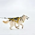 thumbnail image 6 of X Back Mushing Harness for Dogs Sled Pulling Exercise Bikejoring Skijoring Canicross Scootering Running Harness for Average Sized Huskies and Active Dogs, 6 of 8