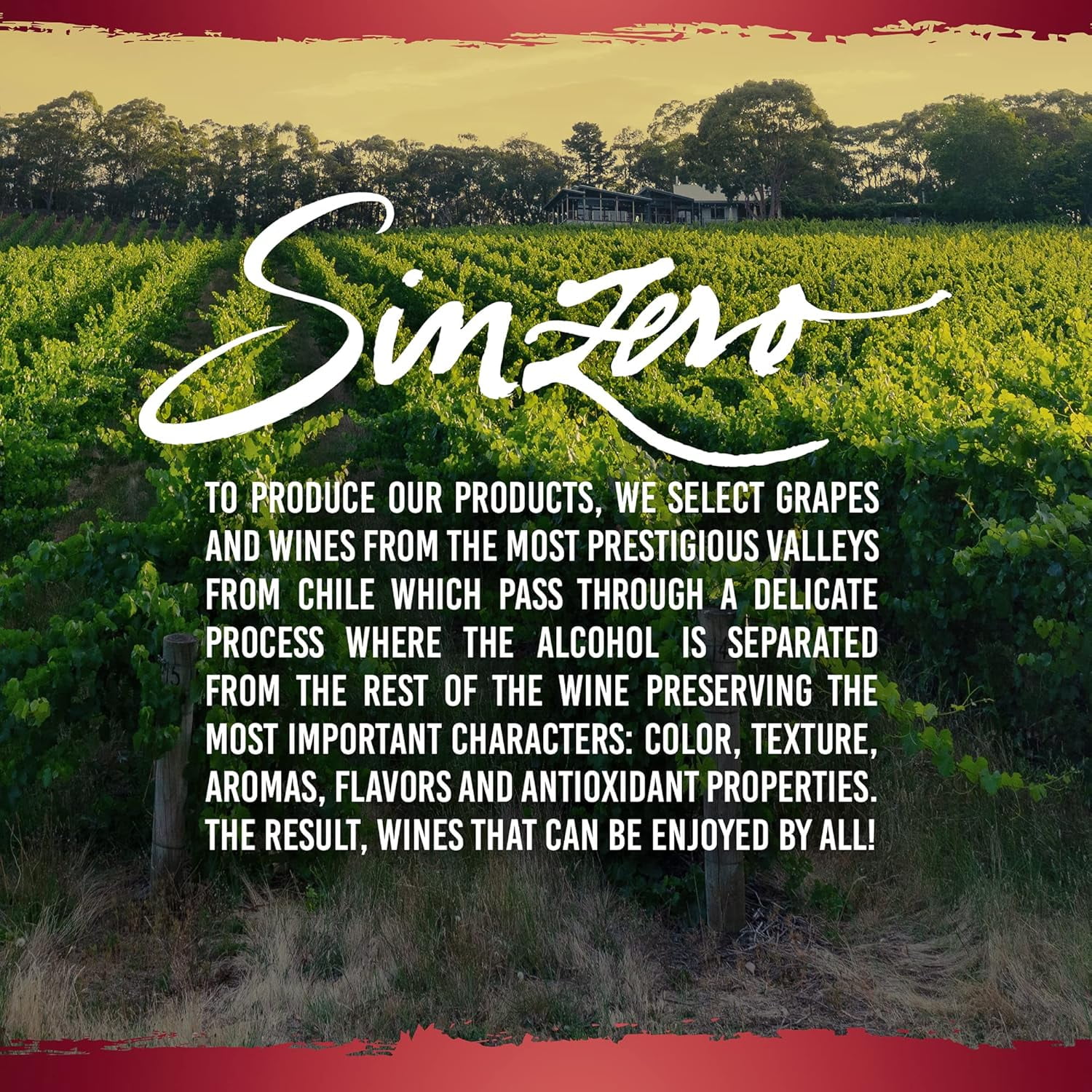 SINZERO Chardonnay - Non Alcoholic White Wine - Low Calories, Vegan Suitable, 25.4 FlOz