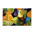 thumbnail image 1 of Betsydrake DM1159G 30 x 50 in. Gourds II Door Mat, 1 of 1
