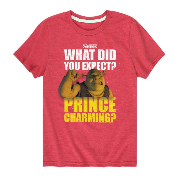 Shrek - What Did You Expect Prince Charming - Toddler & Youth Short Sleeve Graphic T-Shirt
