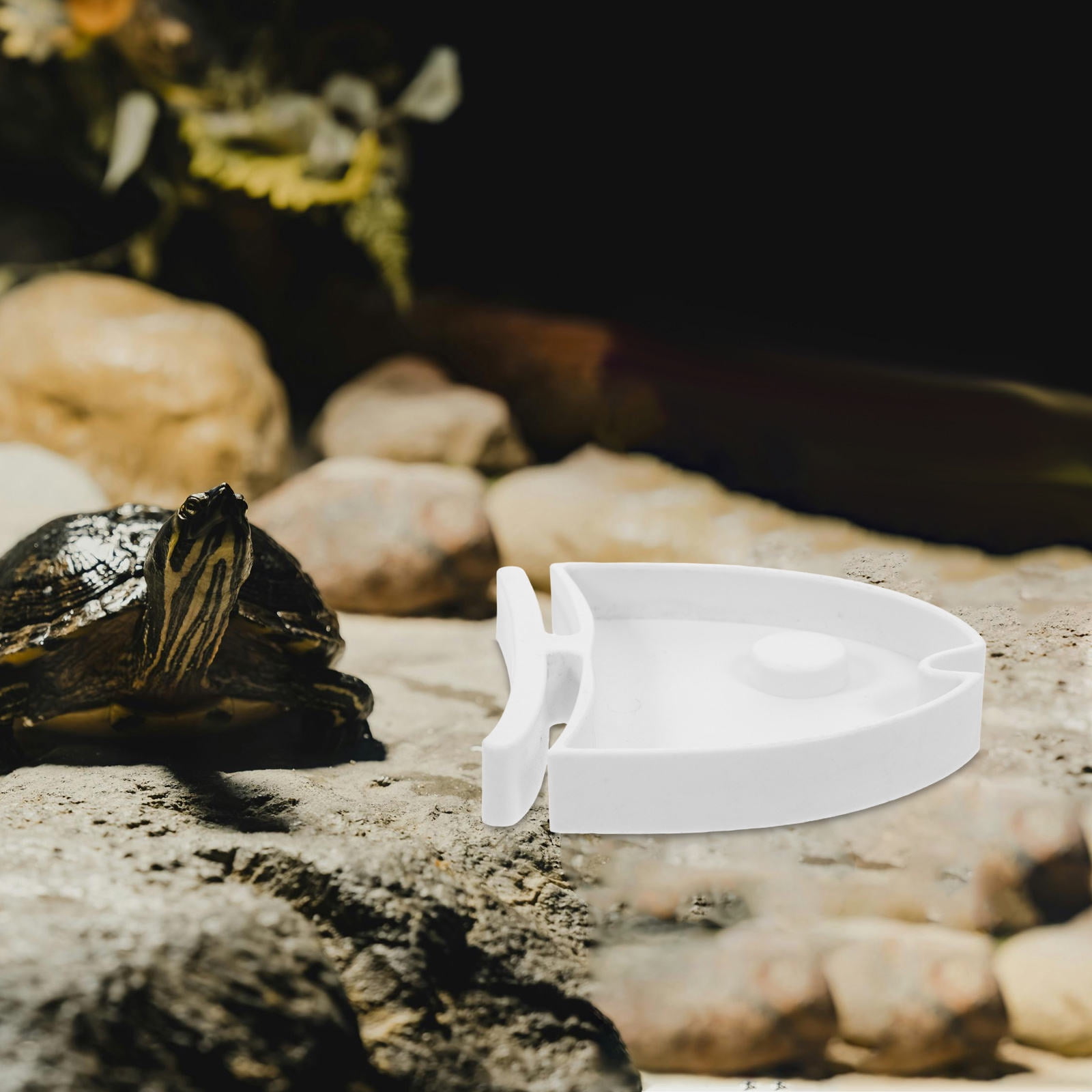 HAMPPLIES White Reptile Feeding Tray and Water Dish for Lizards, Tortoises, Hamsters - and Versatile Pet Bowl