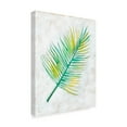 thumbnail image 2 of Trademark Fine Art 'Ocean Side Palms IV' Canvas Art by Chariklia Zarris, 2 of 4
