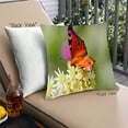 thumbnail image 1 of Ahgly Company Insects Butterfly Outdoor Throw Pillow, 18 inch by 18 inch, 1 of 6