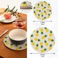 thumbnail image 3 of Pot Holders Trivets Set Cotton Potholders Set, Hot Pads Set of 2, Summer Pineapple Hot Pot Trivets One 9.45 Inch and One 7 Inch, 3 of 7