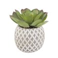 thumbnail image 1 of Flora Bunda CS2805E 5 Po. Fausse Succulente dans un Pot en Ciment Ananas, 1 of 1