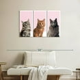 thumbnail image 2 of Elephant Stock Cat Breed Colors Wall Art - Horizontal Multi Panel Canvas - Lobby Wall Decor - Animal Multi Panel - Gray And White Decor - 38" x 24", 2 of 4