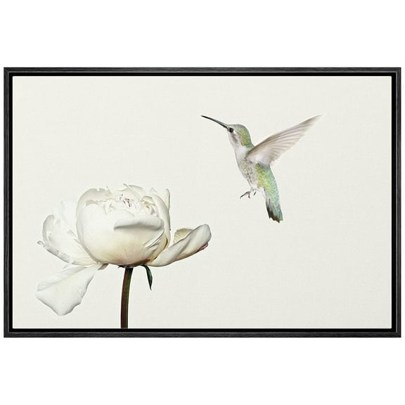wall26 Framed Canvas Print Wall Art Hummingbird Flies On White Carnation Flower Animals Wildlife Realism Rustic Scenic Nature Chic Colorful for Living Room, Bedroom, Office - 16"x24" Black