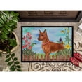 thumbnail image 3 of Miniature Pinscher Spring Door Mat, 3 of 4
