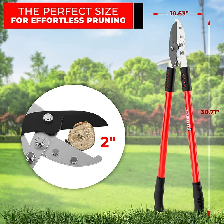 Tabor tools loppers online