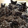 thumbnail image 3 of 2 Packs Dark Chocolate Stars Shortbread Cookies 16 oz Each Pack, 3 of 3