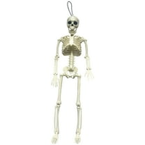 Matoen Halloween Mini Skeleton Figurine Decoration, Halloween posable Skeleton Decor, Small Plastic Skeleton Figure for Halloween Spooky Home Decor Haunted House Decorations Party Favors