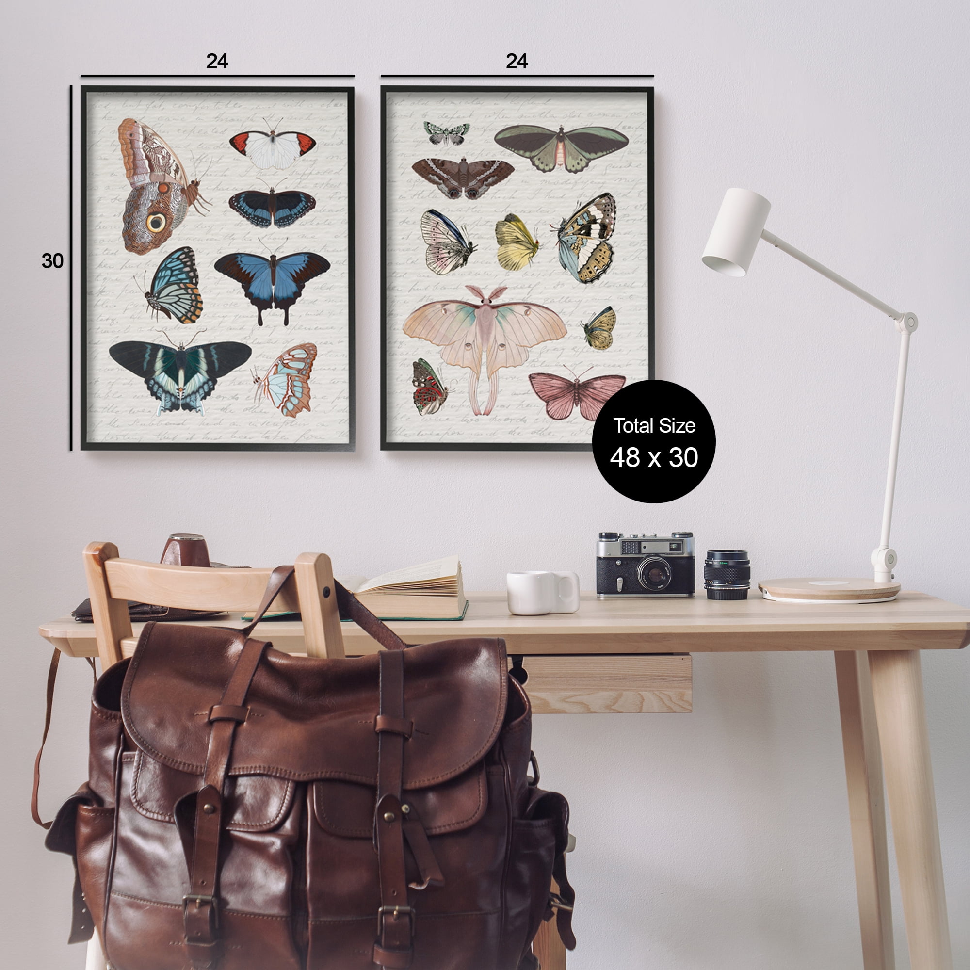 Stupell Industries Vintage Butterflies & Moths Animals & Insects Painting Black Framed Art Print Wall Art, 24 x 30