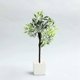 thumbnail image 5 of Mini Plant Miniature Potted Plants Bonsai Decoration Suitable 1:6 1:8 1:12 Accessories,Black, 5 of 5