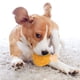 thumbnail image 5 of Runnjoy Máquina Interactiva Lavable De Peluche Con Forma De Comida Accesorios Para Mascotas Gato Perro Juguete Para Morder Que Chirría, 5 of 8