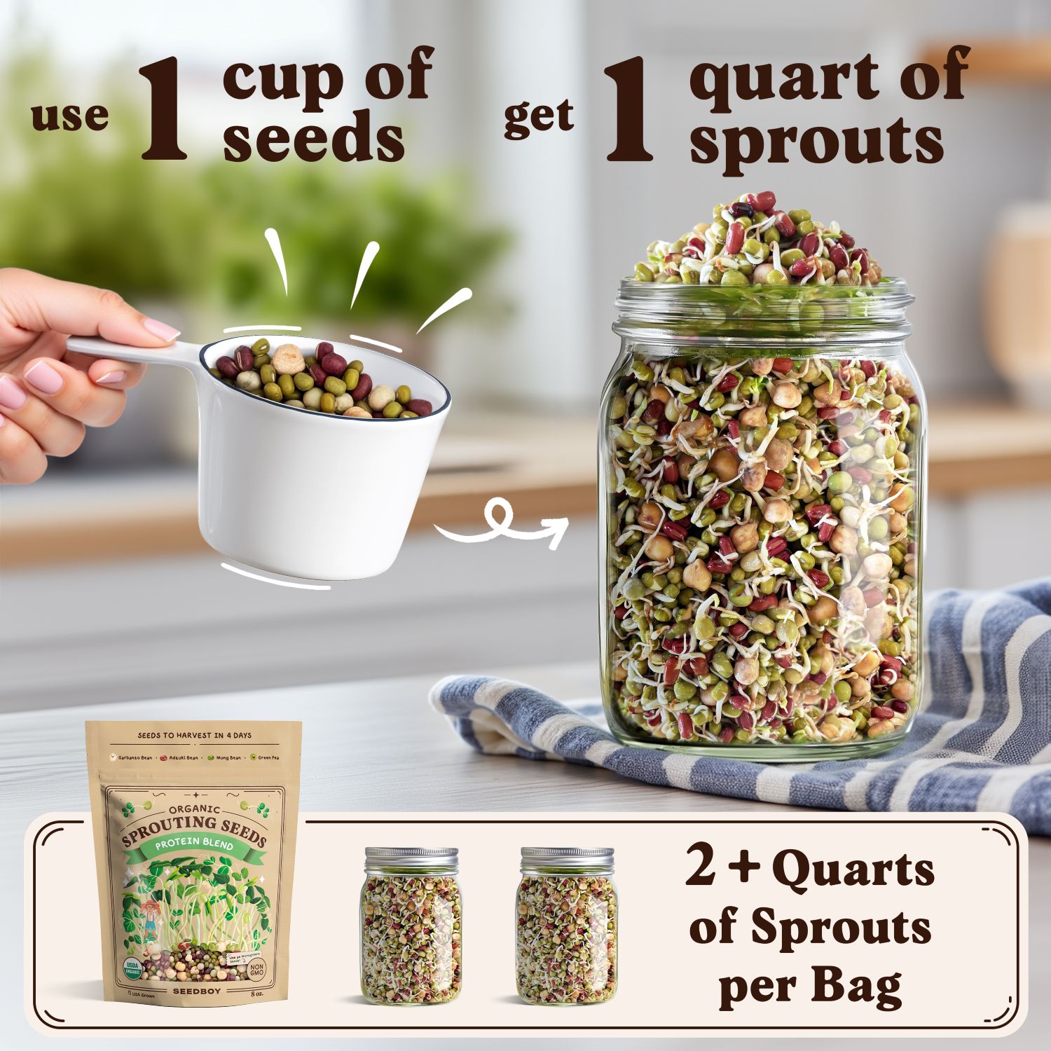 Seedboy Organic Non-GMO Sprouting Seeds Variety Pack, Superfood & Protein Blends - USA Grown - 8 oz Bags