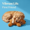 thumbnail image 5 of Vibrant Life Brown Floppy Dog Plush Dog Toy with Squeaker, Chew Level 1, 5 of 12