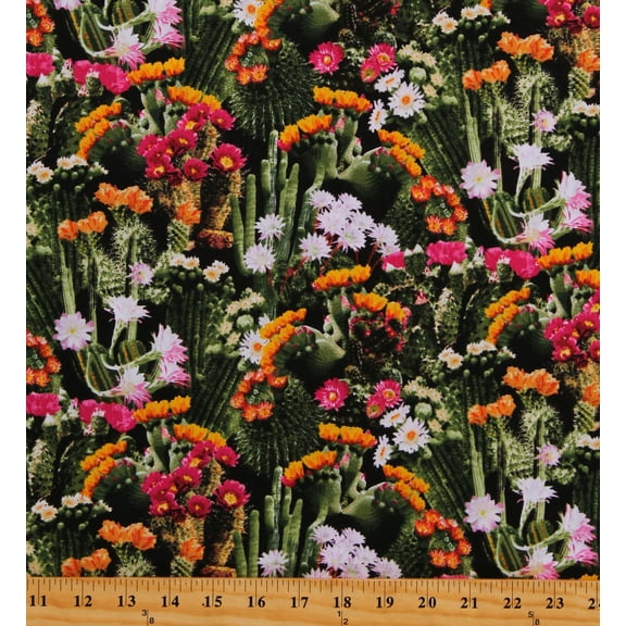 Cotton Cactus Cacti Succulents Saguaros Western Flowers Landscape Nature Cotton Fabric Print by the Yard (WEST-C7357-MULTI)