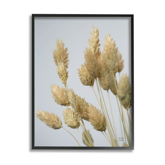 Stupell Industries Calm Pampas Grass Breezy Sky Photograph Black Framed Art Print Wall Art, Design by Nathan Larson