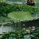 thumbnail image 1 of Simulación Plástica 1 arreglo floral artificial verde con nenúfares para decoración del hogar,ideal para sala de estar,comedor,mueble de TV o pecera (L). Rkxzt, 1 of 9