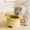 Yellow-YE-clearacne, variant on WWG Adjustable Angle Silicone Raised Dog Bowl Fruit Design Elevated Feeder with Antiskid Base for Dogs Cats Puppies Kittens 6.3x4.9in