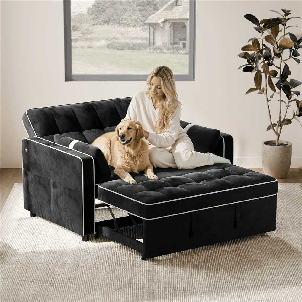 Renwick Convertible Sleeper Sofa Bed 3-in-1 Pull Out Couch Velvet Loveseat Couch with Adjustable Backrest, USB Ports, Side Pockets and Pillows for Living Room Bedroom, Black
