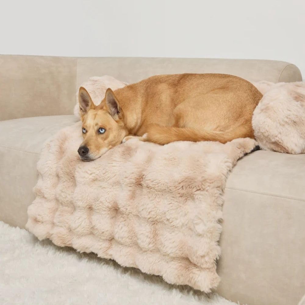Dream Cloud Pet Sofa Bed – Washable, Waterproof, High-Comfort Orthopedic Plush Dog Mat for Sofa, Car, and Floor