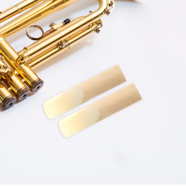 CATIEBYE 10 Ensembles d'Anches de Saxophone Plates en Bambou Beige pour la Pratique des Instruments de Musique