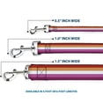 thumbnail image 3 of Buckle-Down Pet Leash, Dog Leash, Flag Lesbian Five Stripe Oranges White Pinks, 6 Feet Long 1.0 Inch Wide, 3 of 6