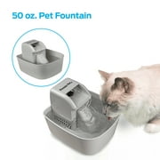 Premier Pet 50 oz. Pet Fountain  Automatic Water Fountain for Dogs and Cats