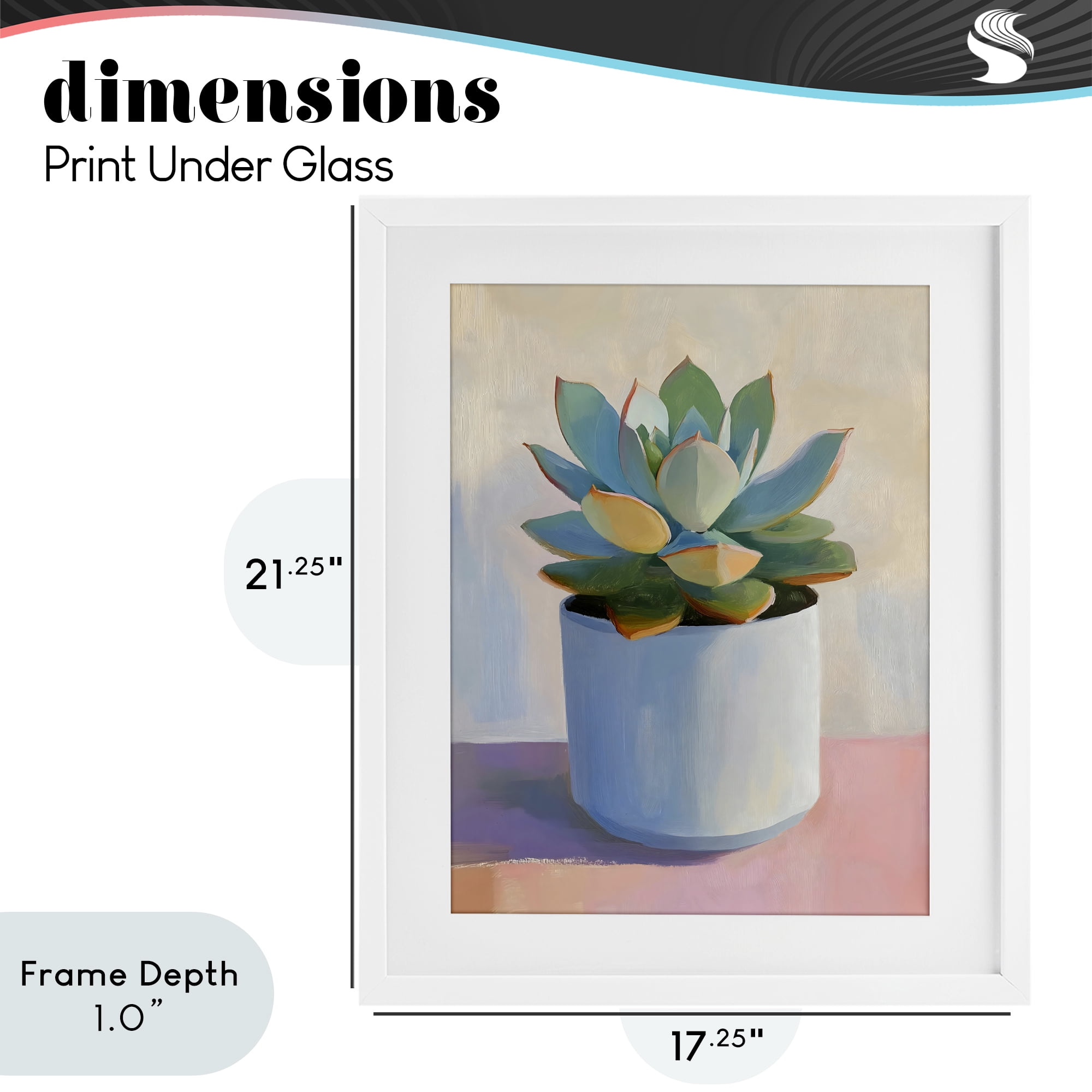 Stupell Industries Succulent Plant in White Pot White Framed Print Under Glass, design by The Prints Vibe