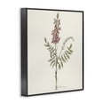 thumbnail image 2 of Stupell Industries Transitional Nature's Delicate Herb Sprig Black Framed Giclee Art, 11 x 14, by Cady Driver, 2 of 8