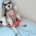 thumbnail image 5 of HQREA Dog Bikini Swimsuit Summer Puppy Bathing Dress Beach Clothes Cat Costume for Puppy Cat, 5 of 6
