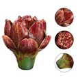 thumbnail image 3 of 1 Pc Waterproof Flowerpot Decor Vivid Simulation Pineapple Head (Wine Red, S), 3 of 8