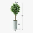 thumbnail image 5 of Artificial Tree in Geometric Pattern Planter, Fake Ficus Silk Tree for Indoor and Outdoor Home Decoration - 75" Overall Tall (Plant Pot Plus Tree), 5 of 5