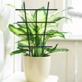 thumbnail image 5 of Plastic Garden Grid For Climbing Plants And Flowers, 5 of 5