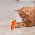 thumbnail image 4 of wznxdo Hot Sale Cat Toys Fish Shape Canvas Toy with Catnip and Crinkle Paper Indoor Cats Exercise with Interactive Kicking Toys, 4 of 6