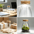 thumbnail image 4 of ACDANC 2026 New Terrarium Kit,High Hardness Plant Terrarium,99% Light Transmittance Terrarium Plants,For Home,Office,Desk,Style5, 4 of 7