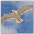 thumbnail image 1 of Picture-Tiles.com: Bird Ceramic Tile Wall Mural WAL500201-55S. 21.25"W x 21.25"H using (25) 4.25" x 4.25" Ceramic Tiles-Satin Finish, 1 of 3