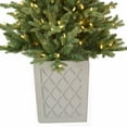 thumbnail image 4 of Haute Decor 4.5 Foot Pre-Lit Barcelona Blue Spruce Potted Tree, 4 of 4