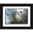 thumbnail image 1 of Disher, Mandy 18x13 Black Ornate Wood Framed with Double Matting Museum Art Print Titled - Jasmine, 1 of 4